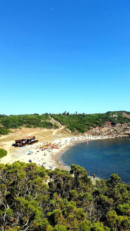 Agriturismo Porticciolo Porto Conte Luaran gambar